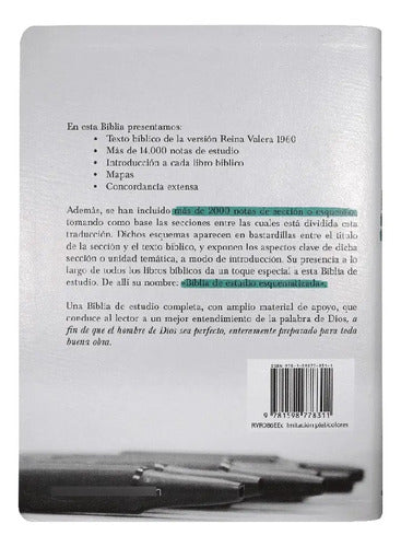 Biblia De Estudio Esquematizada / Sbu