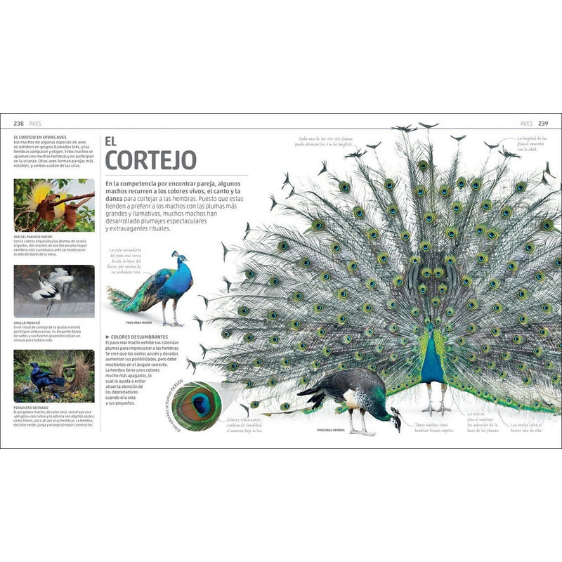 Dk Enciclopedia Secretos De La Naturaleza (tapa Dura)
