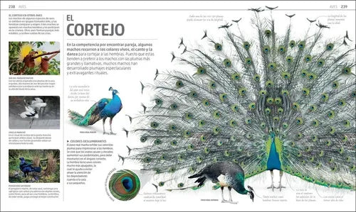 Dk Enciclopedia Secretos De La Naturaleza (tapa Dura)