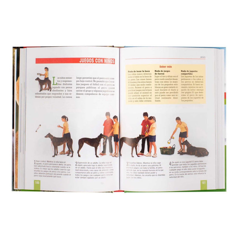 Adiestramiento Canino (tapa Dura) / Lexus