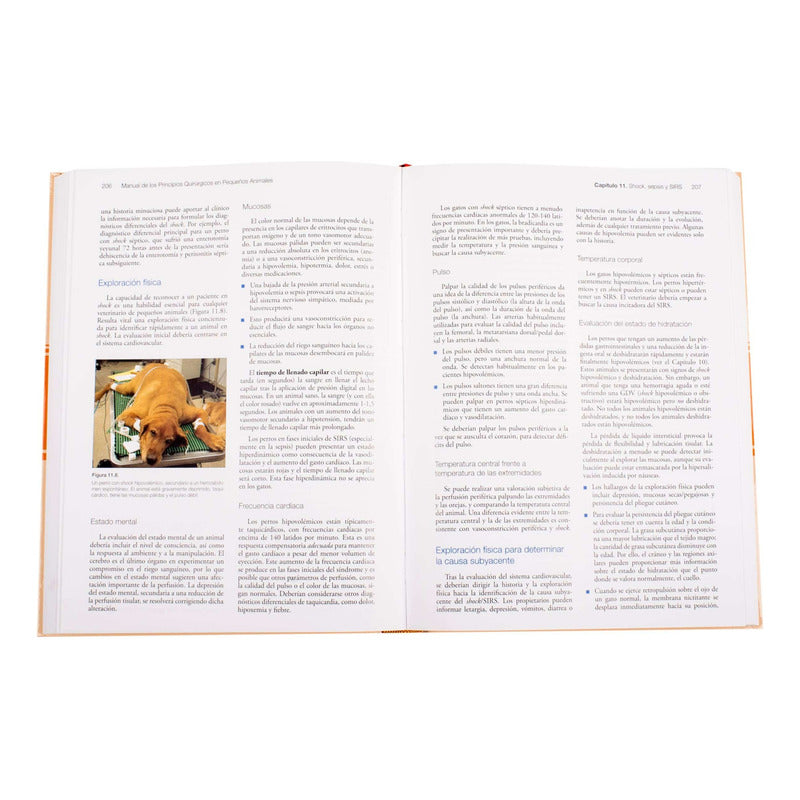 Manual De Los Principios Quirúrgicos / Lexus