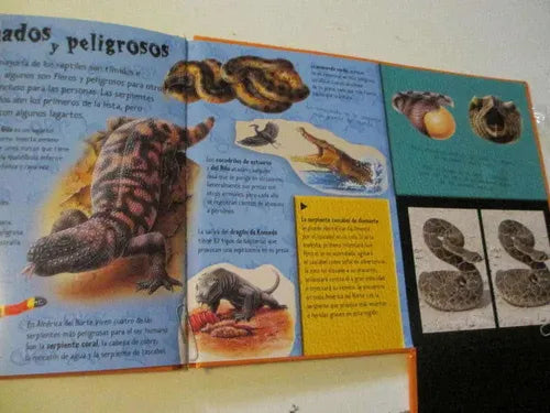 Reptiles Vision 3d (tapa Dura) / Gaby Goldsack