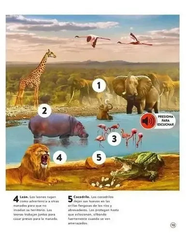 El Reino Animal Con 50 Increíbles Sonidos (t. Dura) / Lexus