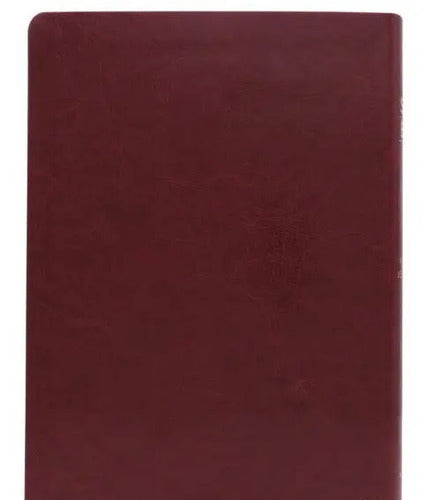 Santa Biblia Rvr 1960 Letra Grande Referencias Concordancia