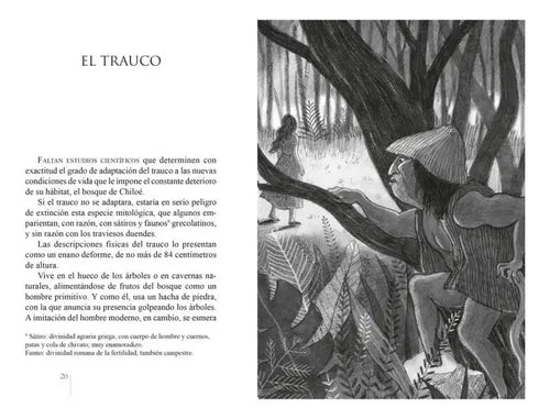 Mitos Y Leyendas De Chile / Floridor Perez