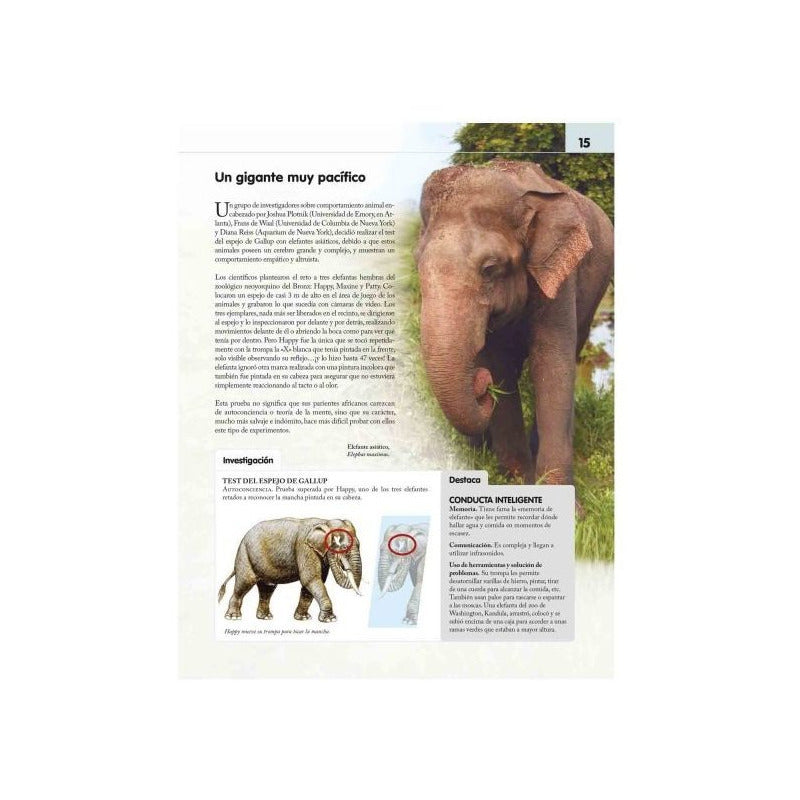 Reino Animal Inteligente (tapa Dura) / Lexus