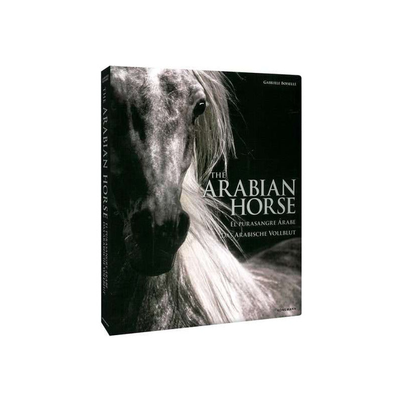 Caballos Árabes - El Pura Sangre Árabe / Lexus