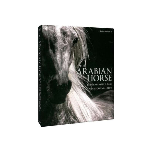 Caballos Árabes - El Pura Sangre Árabe / Lexus