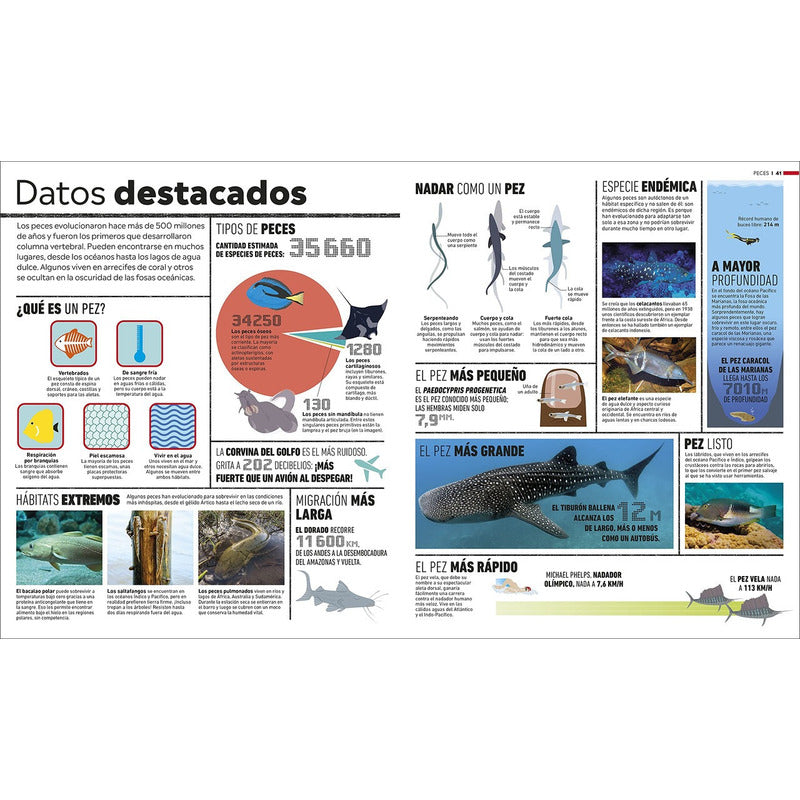 Dk Enciclopedia Atlas Del Mundo Animal (tapa Dura)