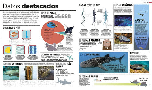 Dk Enciclopedia Atlas Del Mundo Animal (tapa Dura)