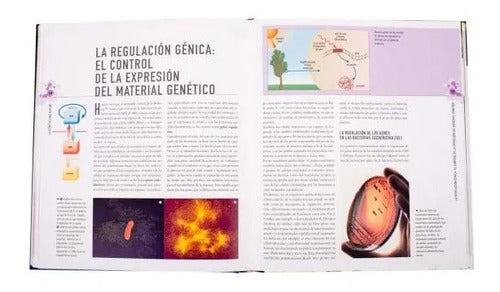 Genetica Atlas Ilustrado (tapa Dura) / Susaeta