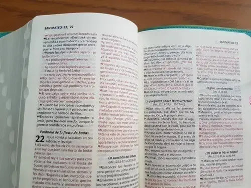 Biblia Reina Valera Contemporánea Verde Letra Mediana