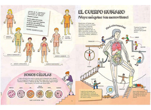 Descubre El Cuerpo Humano (tapa Dura) / Lexus