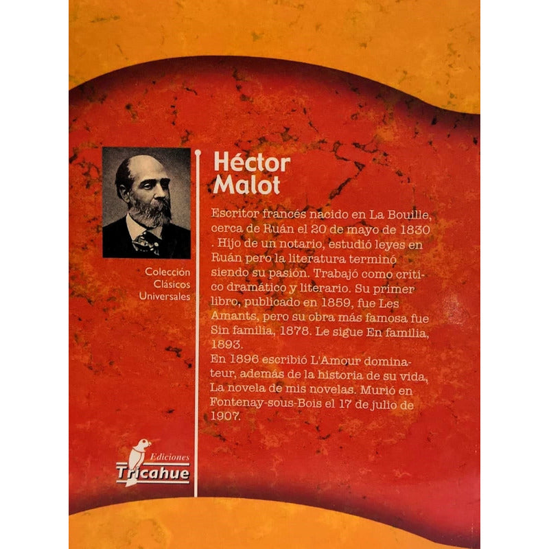 En Familia / Hector Malot