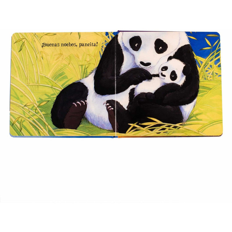 Buenas Noches, Mi Amor / Lexus