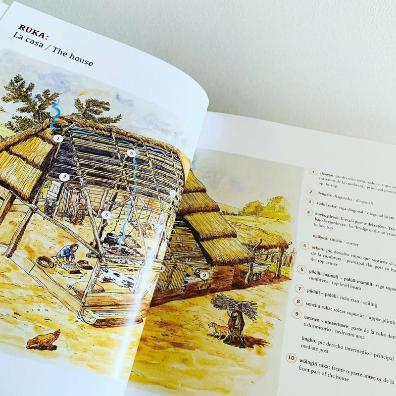 Mapuche Lengua Y Cultura (tapa Dura) / Pehuén