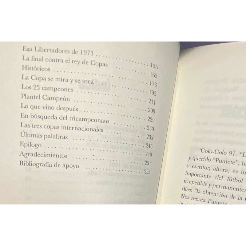 Colo Colo 91 La Copa Se Mira Y Se Toca / Puntete