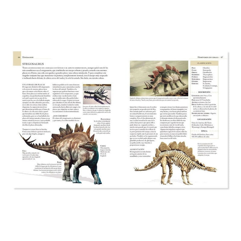 Enciclopedia Ilustrada De Los Dinosaurios (t. Dura) / Lexus