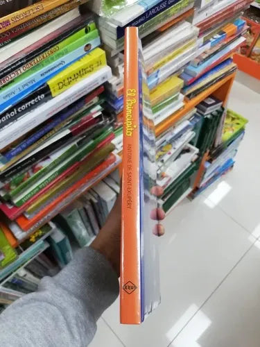 El Principito (tapa Dura Grande) / Antoine De Saint Exupery