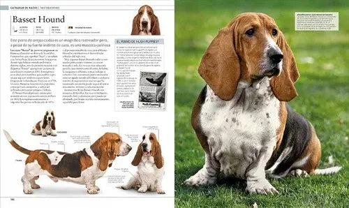 Perro La Enciclopedia La Guía Visual Definitiva (tapa Dura)