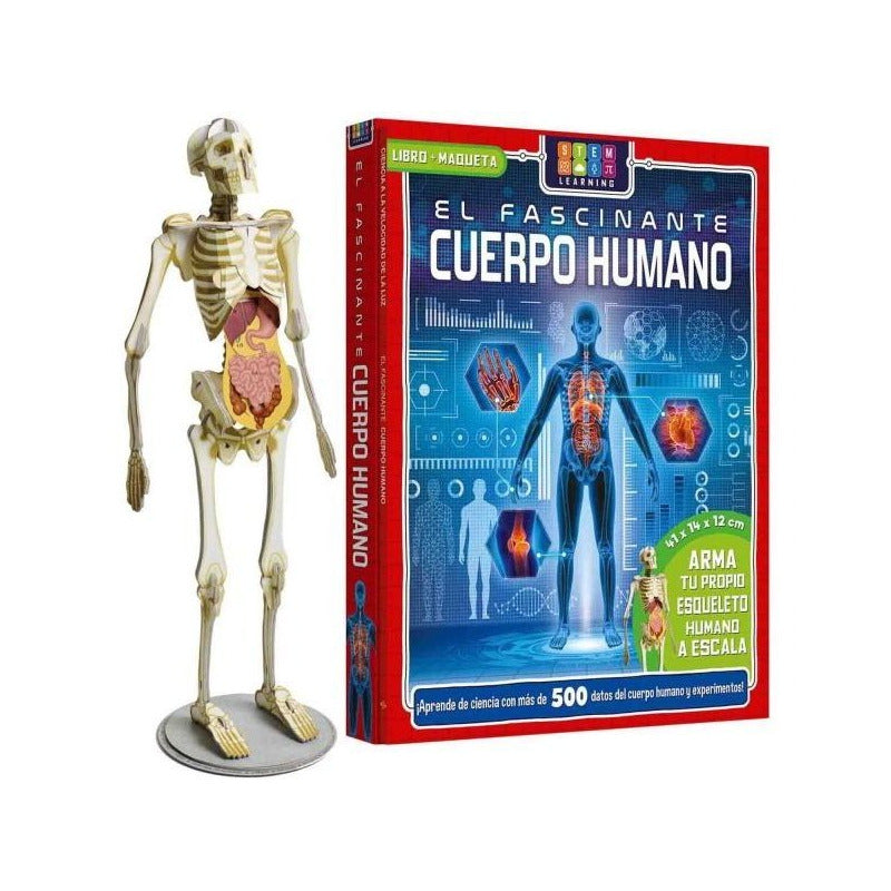 El Fascinante Cuerpo Humano Libro+maqueta Esqueleto / Lexus