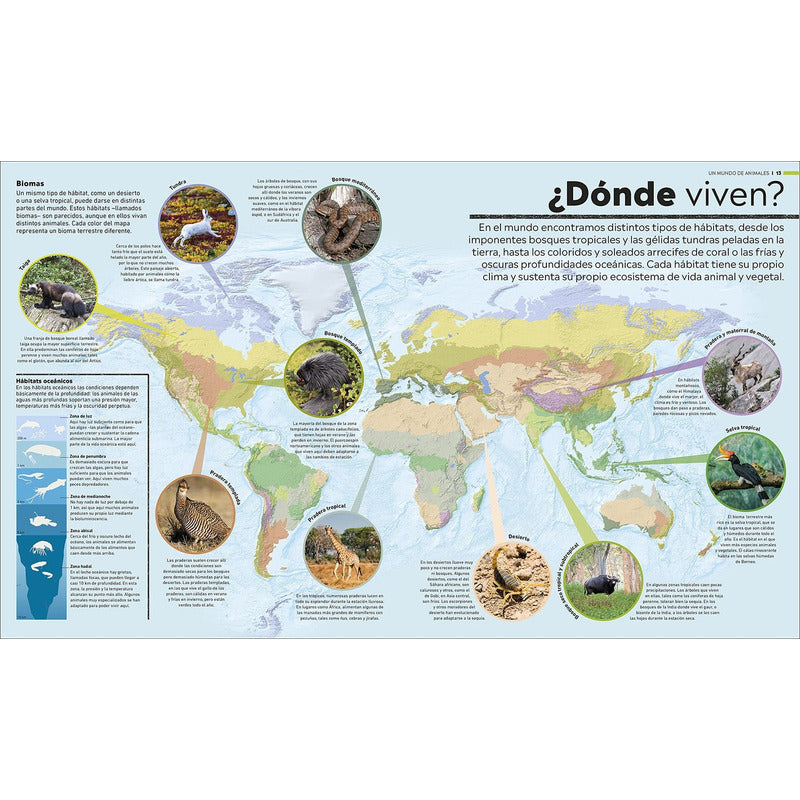 Dk Enciclopedia Atlas Del Mundo Animal (tapa Dura)