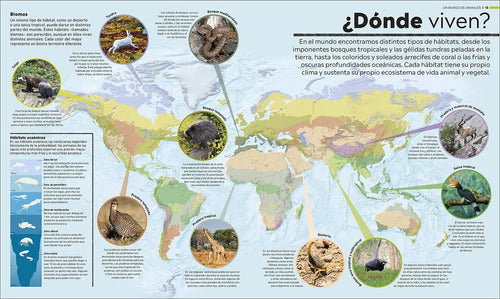 Dk Enciclopedia Atlas Del Mundo Animal (tapa Dura)