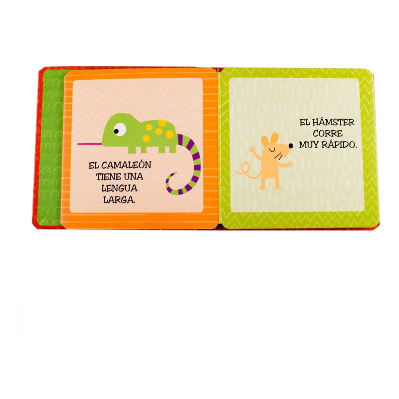 Mascotas Dobla Y Desdobla (tapa Dura) / Lexus