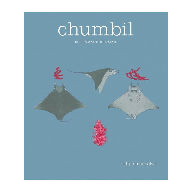 Chumbil El Llamado Del Mar / Felipe Monsalve