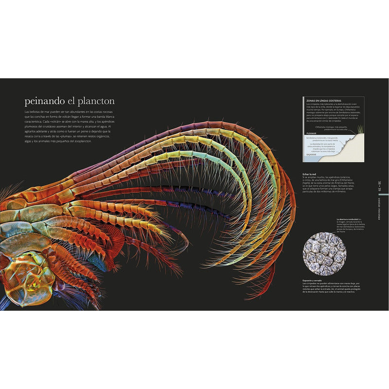 Dk Enciclopedia Oceanos El Mundo Secreto (tapa Dura)