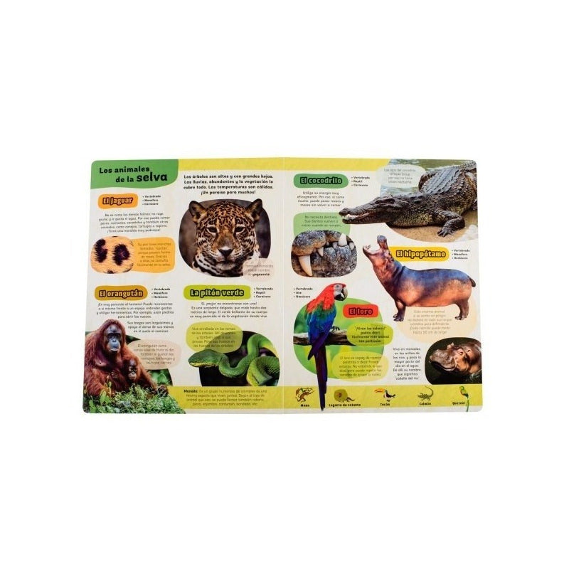 Mi Gran Libro De Animales / Lexus