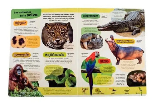 Mi Gran Libro De Animales / Lexus