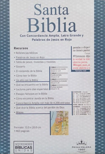 Santa Biblia Reina Valera 1960 Letra Grande Y Concordancia