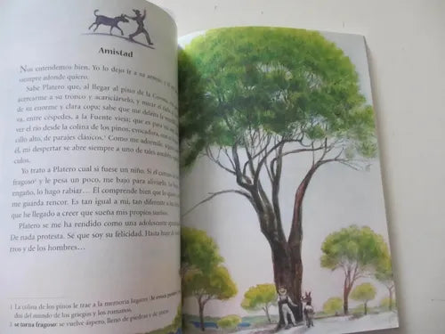 Estampas De Platero Y Yo / Juan Ramon Jimenez