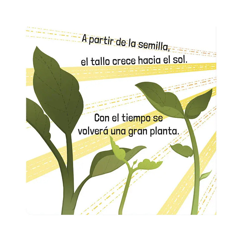 Cómo Funcionan Los Organismos Vivos / Lexus