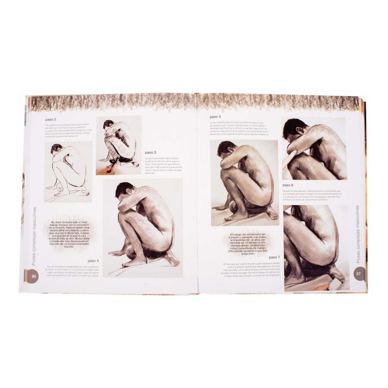 Atlas Ilustrado Dibujo Pintura El Desnudo / Susaeta