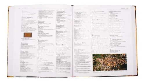 Atlas Ilustrado El Champán, El Cava & Otros Vinos / Susaeta