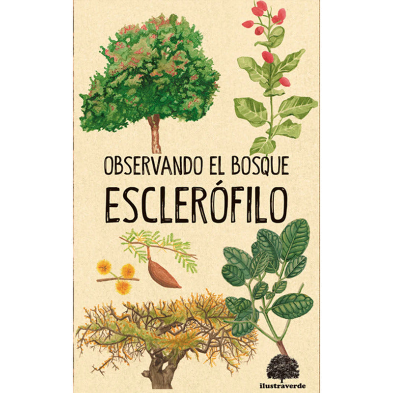 Observando El Bosque Esclerofilo / Claudia Ortiz