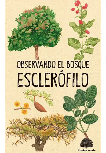Observando El Bosque Esclerofilo / Claudia Ortiz