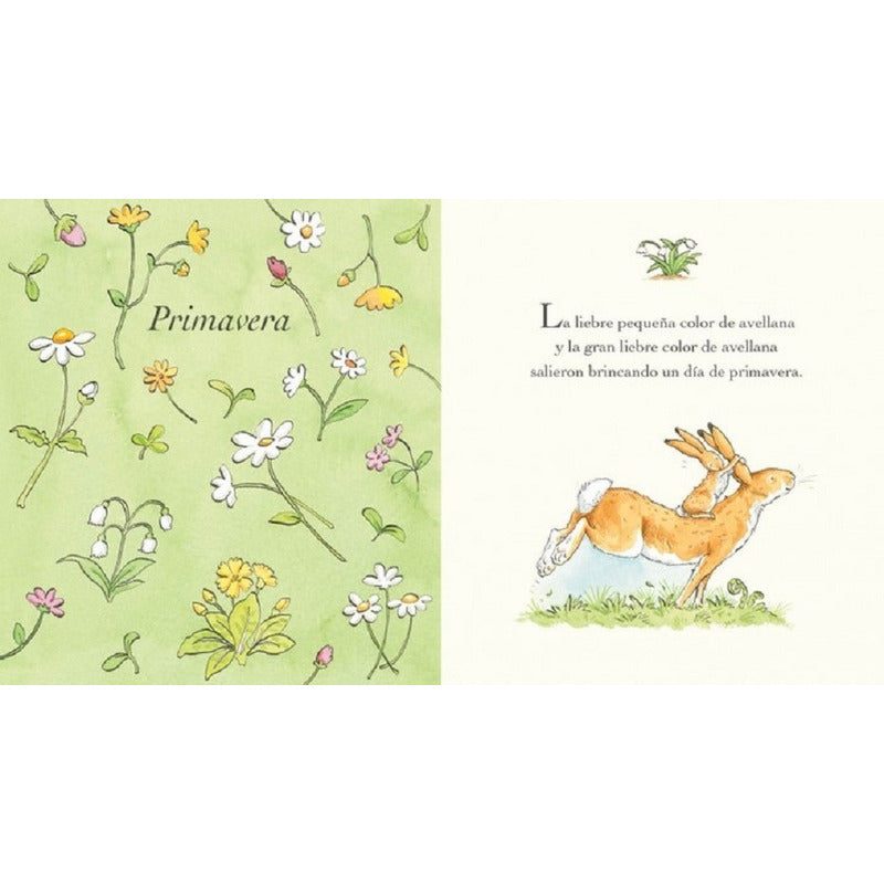 Adivina Cuanto Te Quiero Durante Todo El Año / Sam Mcbratney