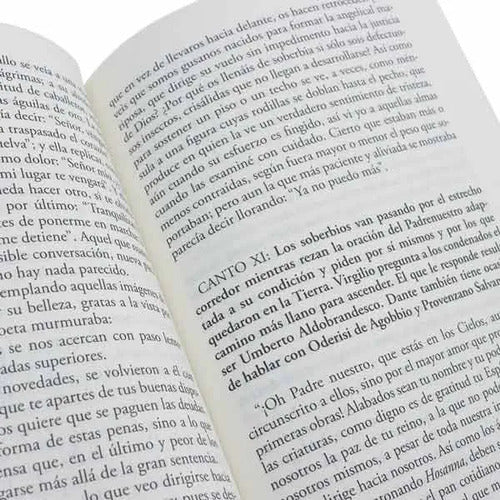 La Divina Comedia / Dante