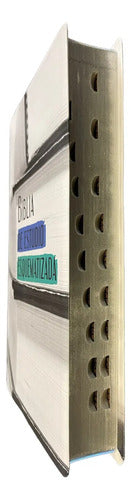 Biblia De Estudio Esquematizada / Sbu