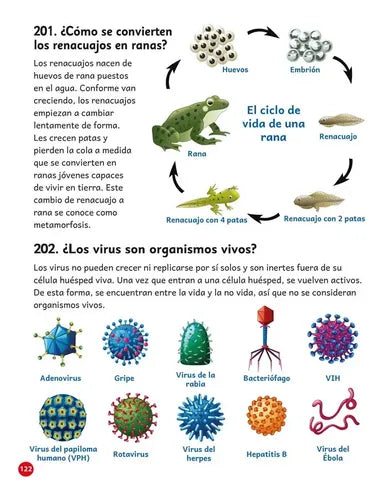 365 Preguntas Y Respuestas Curiosas Del Mundo (td) / Lexus