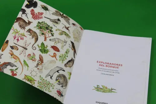 Exploradores Del Bosque / Catalina Mekis