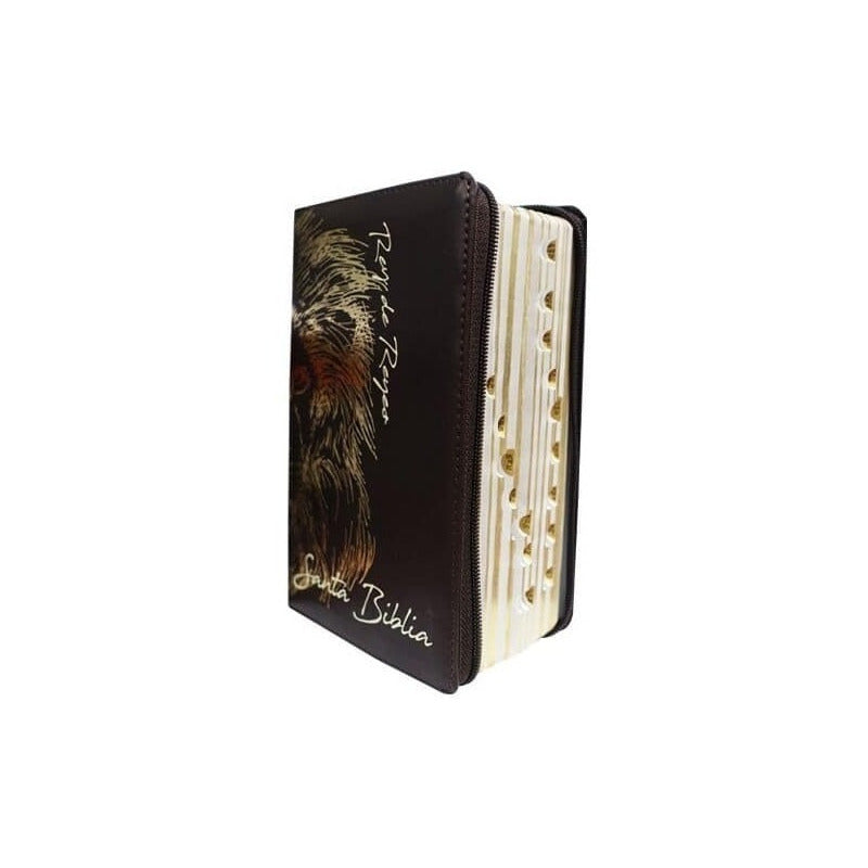 Santa Biblia Rey De Reyes Reina Valera 1960 / Sbl