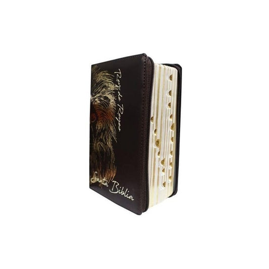 Santa Biblia Rey De Reyes Reina Valera 1960 / Sbl