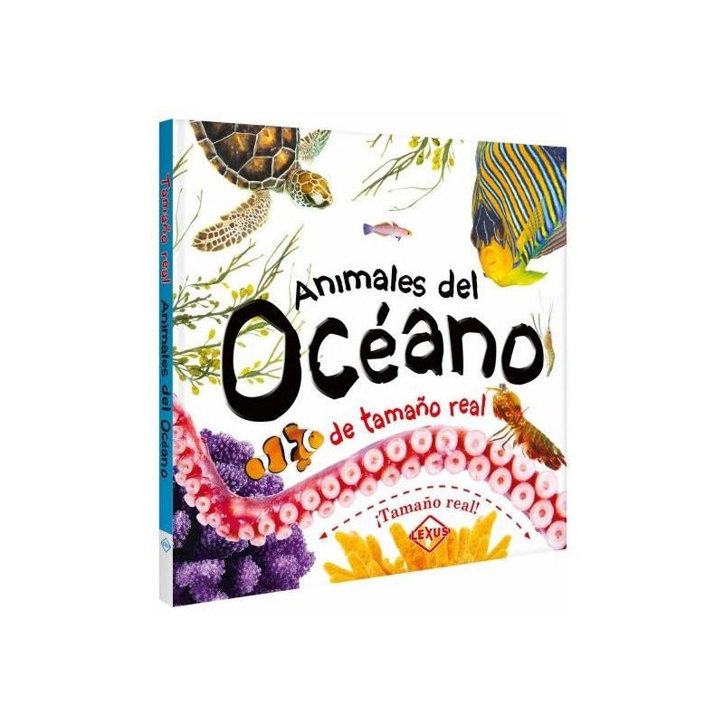 Animales Del Océano De Tamaño Real Desplegables / Lexus