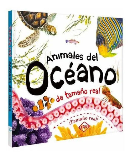 Animales Del Océano De Tamaño Real Desplegables / Lexus