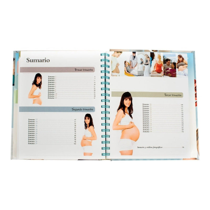 El Embarazo Día A Día (tapa Dura) / Lexus