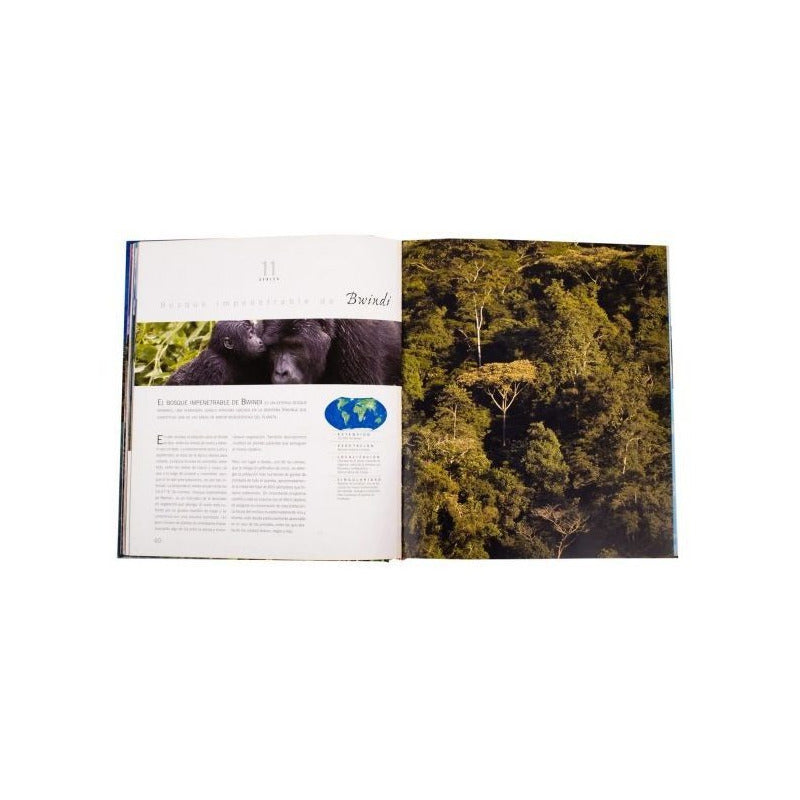 Atlas Ilustrado Bosques Monumentales Del Mundo / Lexus